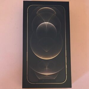 Apple iPhone with Gold Accents in Black Box